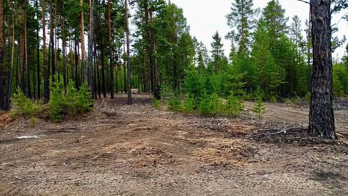 Стихийную лесную свалку убрали в районе Бурятии