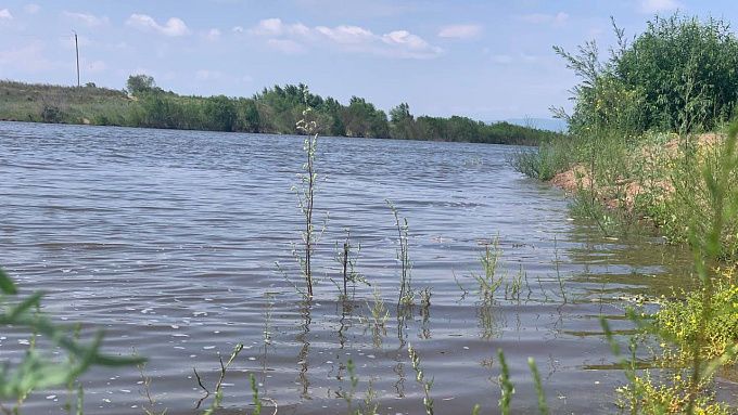 Роспотребнадзор: вода Селенги опасна для здоровья