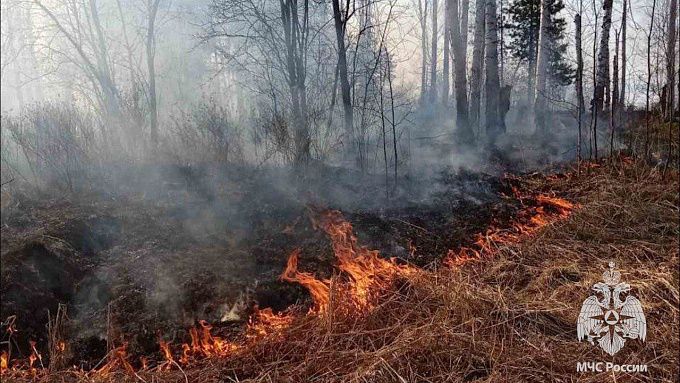 В Бурятии возбудили 5 уголовных дел из-за лесных пожаров