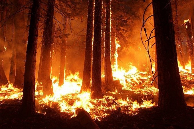В Бурятии за сутки тушили семь лесных пожаров