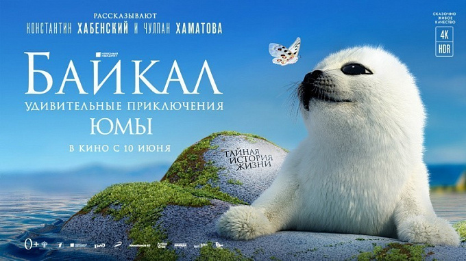 Фильм о байкальской нерпе стал самой кассовой «документалкой» России