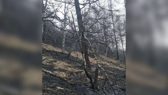 Лесной пожар потушили в нацпарке Бурятии