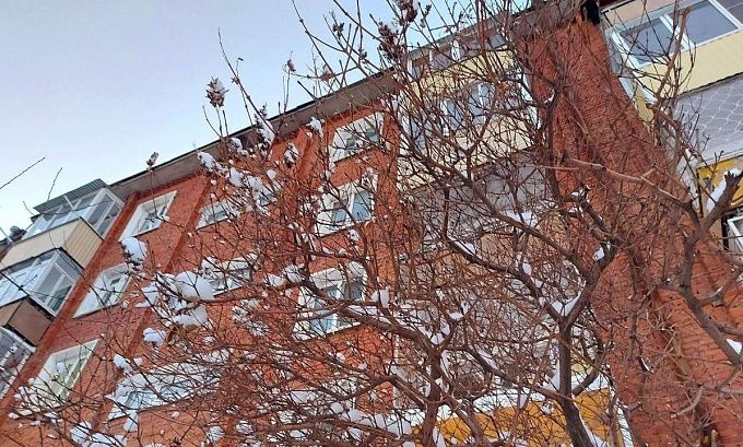 В Улан-Удэ будет ясно и морозно