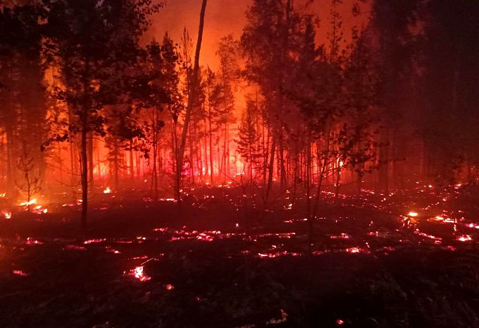 «Можно сгореть заживо»: Лесник из Бурятии рассказал о самых страшных пожарах за его карьеру 