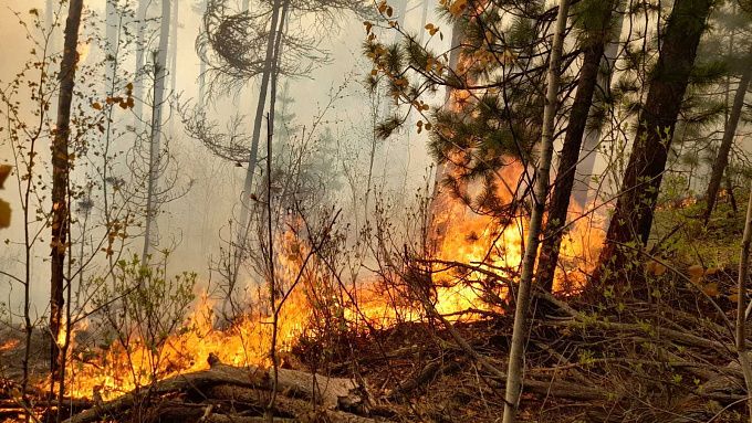 В Бурятии за сутки тушили сразу 4 пожара в лесах