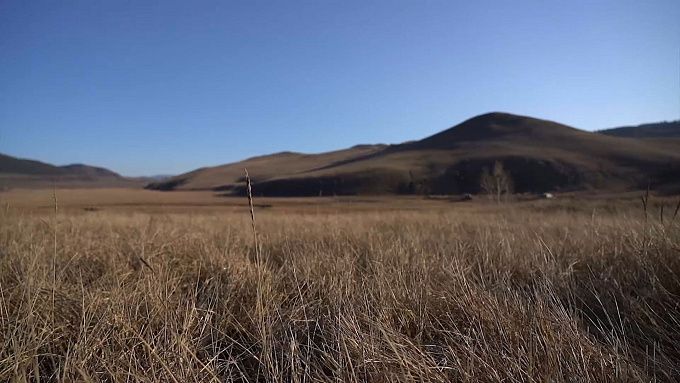 В пригороде Улан-Удэ девушка решила сократить путь и заблудилась в поле
