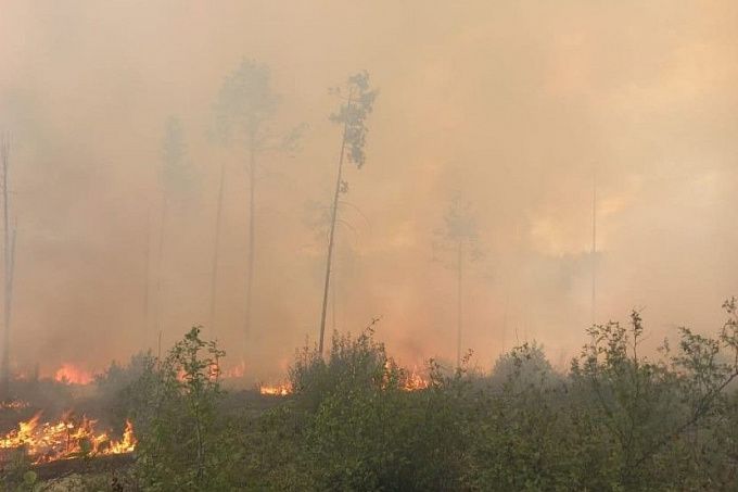 В Бурятии действовало два лесных пожара