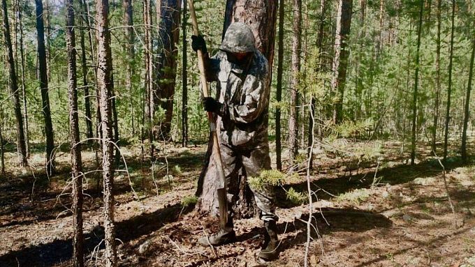 Один лесной пожар действует на территории Бурятии