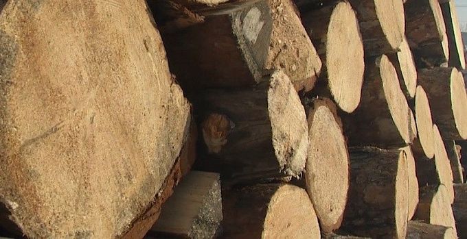 В Бурятии могут изменить принцип обеспечения дровами