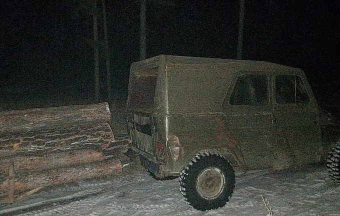 В Бурятии поймали черных лесорубов, «искавших корову в лесу»