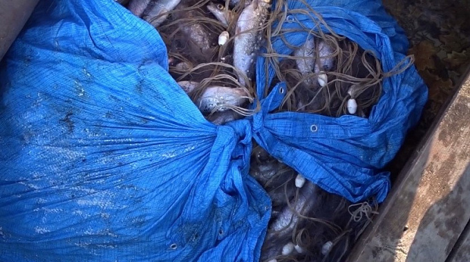 В Бурятии задержали браконьера с уловом омуля на 3,5 млн