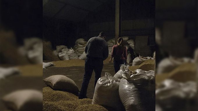 Тонну зерна умыкнули работники у фермера в Бурятии