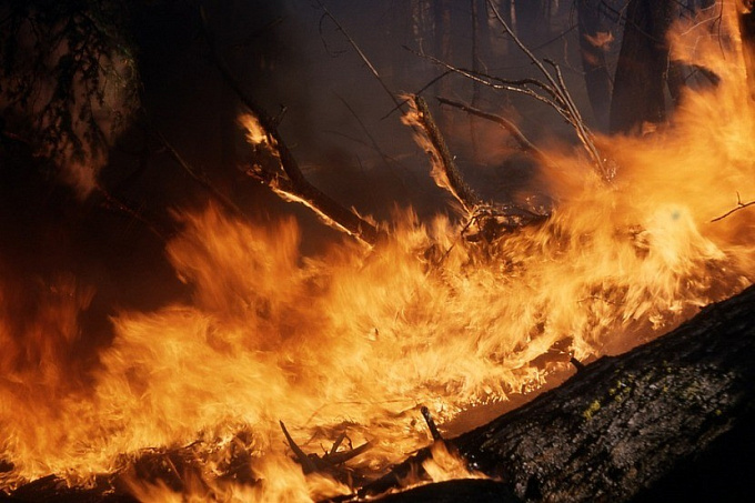 В Бурятии за сутки тушили 6 лесных пожаров