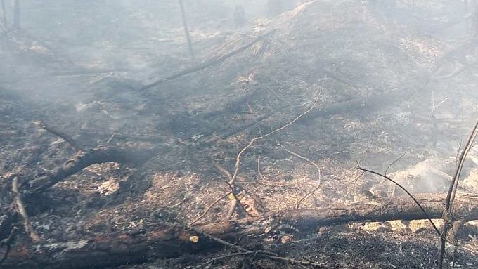 Более 100 человек усмиряли лесные пожары в Бурятии 