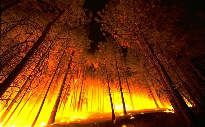 Три лесных пожара обнаружили в Бурятии за сутки