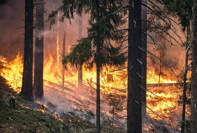 В Бурятии на территории нацпарка тушат крупный лесной пожар 