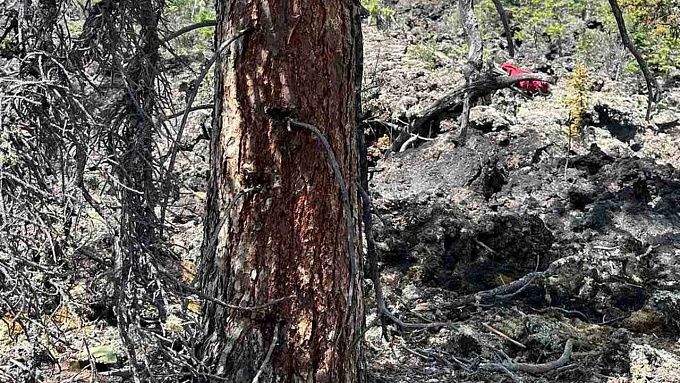 В Бурятии больше 7 тысяч га пострадали от лесных пожаров