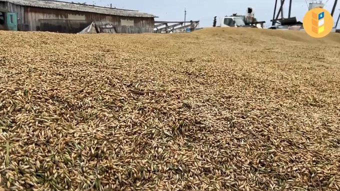 В районе Бурятии предложили вернуть метод орошения наледью 