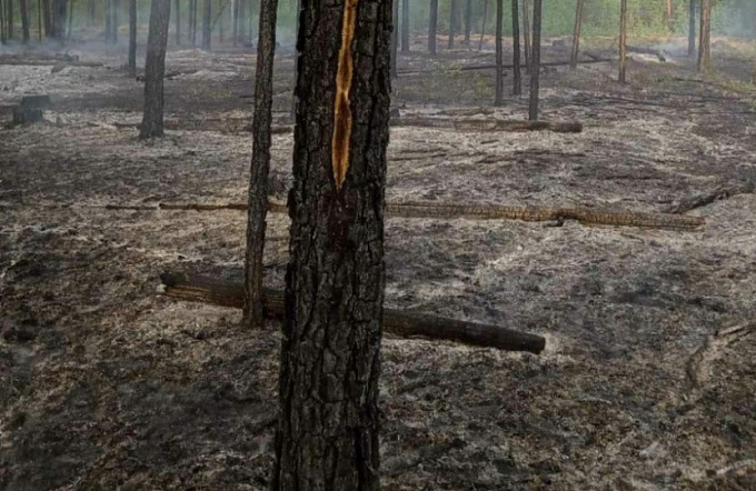 В Бурятии тушили 418 гектаров лесных пожаров