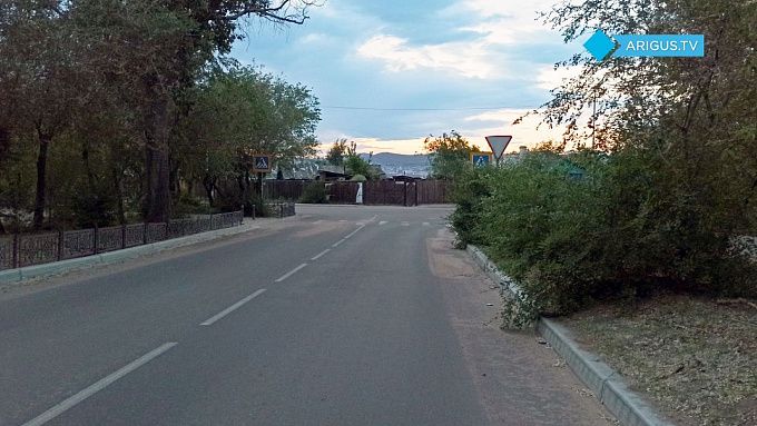 Заросли кустов угрожают безопасности пешеходов и водителей в Улан-Удэ. ФОТО