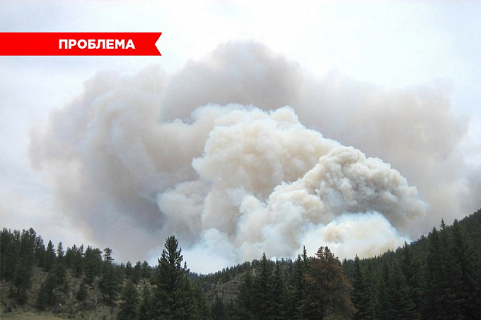 Лесные пожары в Бурятии: цифры и факты