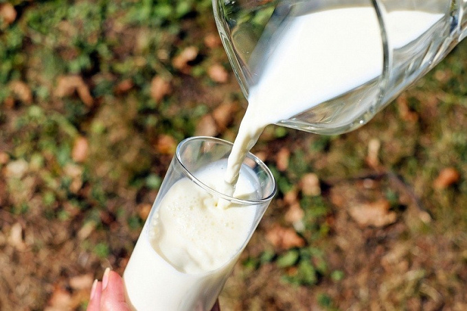 В районе Бурятии откроется цех по переработке молока
