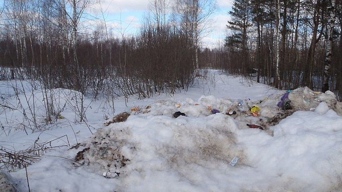 В лесах Бурятии нужно убрать почти 100 несанкционированных свалок 