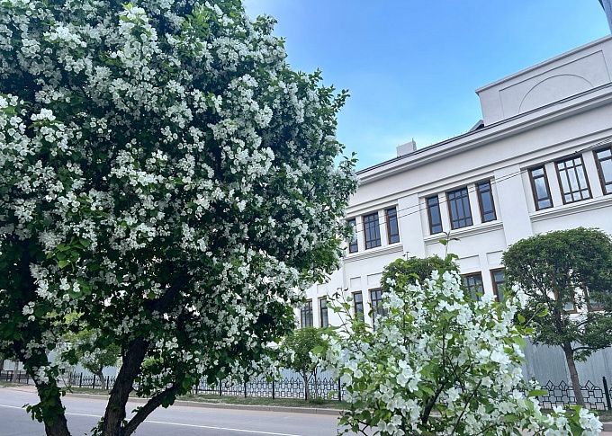 Потратил 185,6 млн рублей: подрядчика «Ульгэра» отправили под домашний арест в Улан-Удэ 