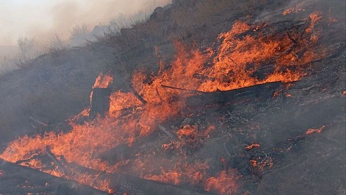В Бурятии тушили первые лесные пожары