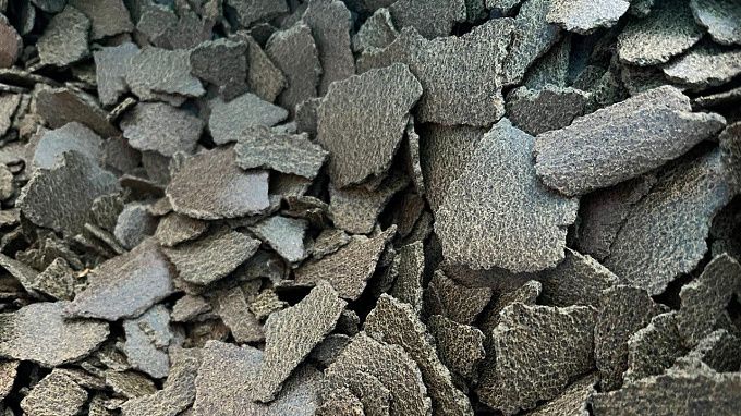 Улан-удэнские производители экспортировали в Китай 11 тысяч тонн рапсового жмыха
