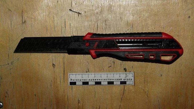 Жительница Бурятии зарезала напарника в детском лагере