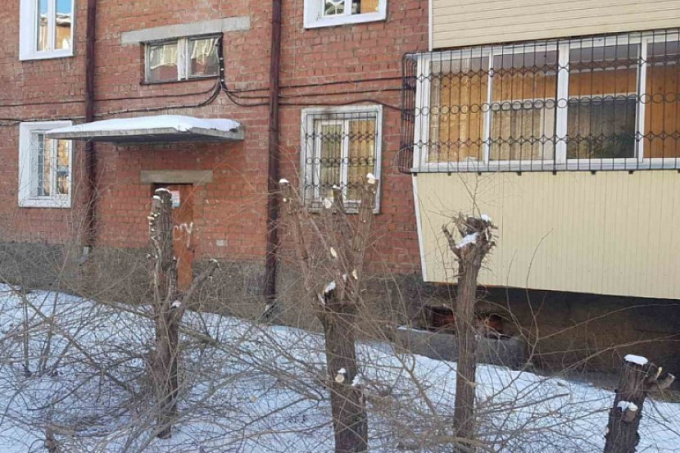 В Улан-Удэ «управляшку» оштрафовали за неправильную обрезку деревьев