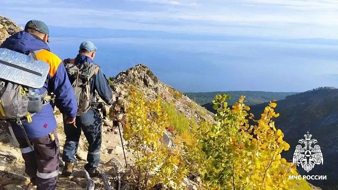 В Бурятии начали проверку после гибели туриста при нападении медведя