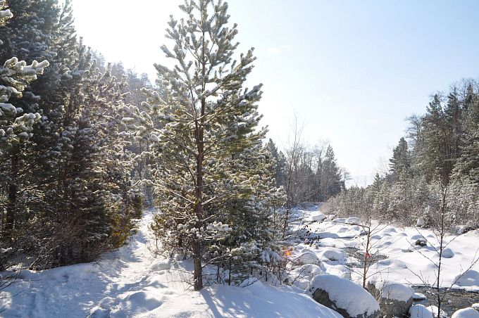 Ветрено и морозно будет в Бурятии