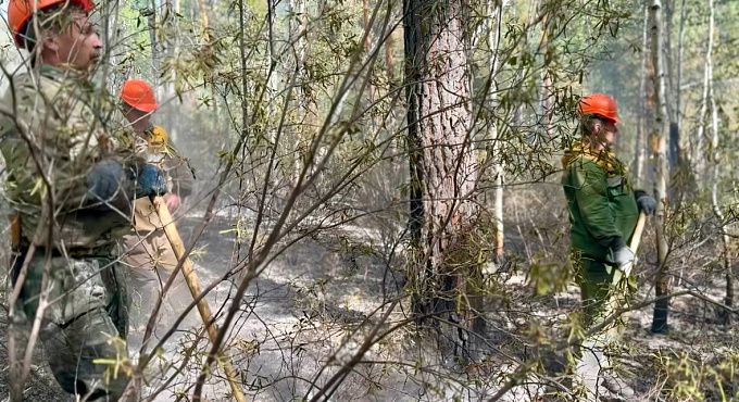 Два пожара уничтожают тайгу в Бурятии Два пожара уничтожают тайгу в Бурятии