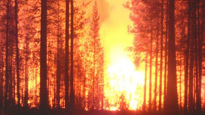 «Мы оказались в плену»: В Бурятии лесной пожарный рассказал о самом страшном возгорании