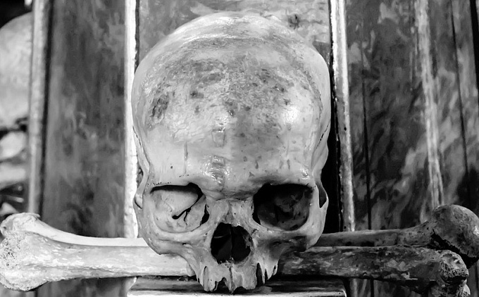 Человеческий череп нашли в подвале многоэтажки Улан-Удэ