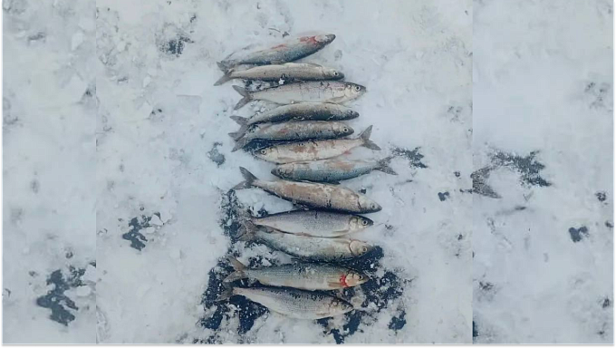 Уголовным делом и штрафом обернулась рыбалка в Бурятии  