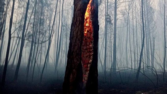 За сутки в Бурятии вспыхнуло 19 пожаров из-за сухих гроз