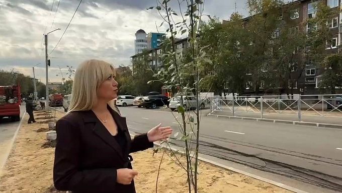 Аллею безопасных для аллергиков тополей высадили в Улан-Удэ 