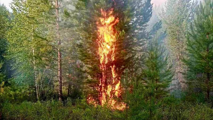 23 лесных пожара бушуют в лесах Бурятии