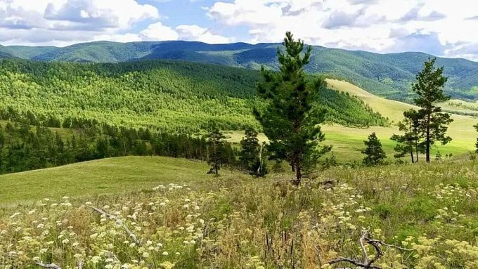Шесть воздушных судов следили за лесопожарной обстановкой в Бурятии