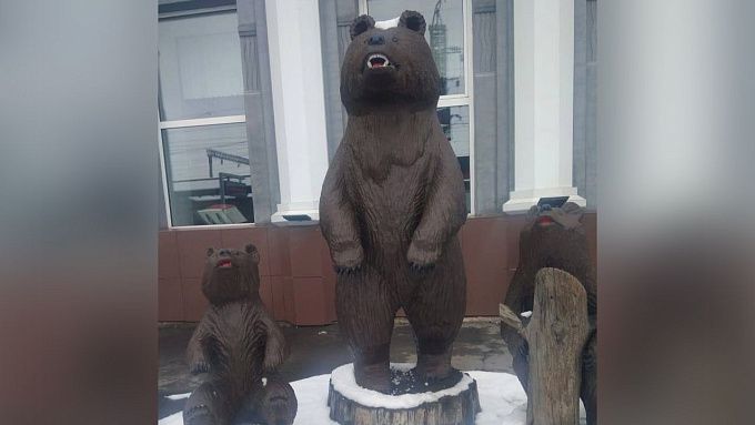 Теперь при параде: В Улан-Удэ медведям «сделали маникюр»