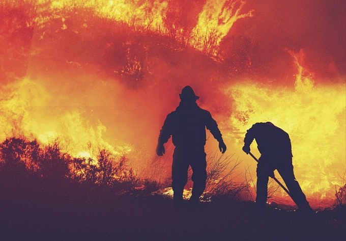 «Дым разъедал легкие»: Лесник из Бурятии спас олененка из огня
