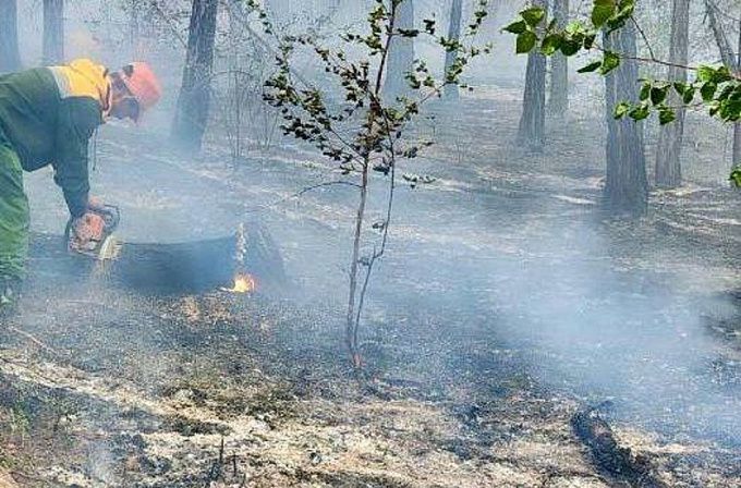 Лесники продолжают борьбу с грозовыми пожарами в Бурятии