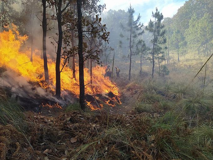 12 тысяч гектаров в огне: Бурятия поможет Красноярскому краю усмирить пожары