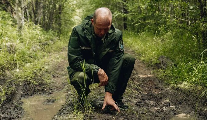 Меры безопасности из-за медведей ввели Бурятии
