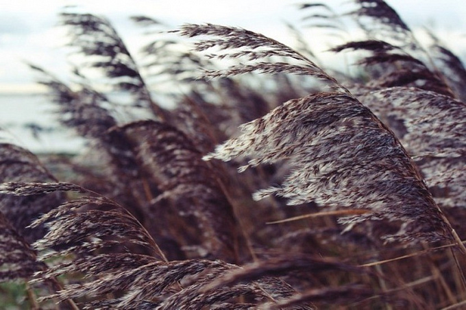 Синоптики предупредили о холодной и ветреной погоде в Бурятии