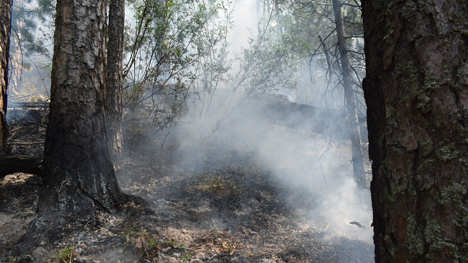 В Бурятии горят почти 230 гектаров леса 