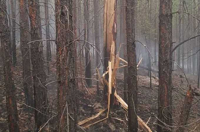 В Бурятии тушили 20 лесных пожаров
